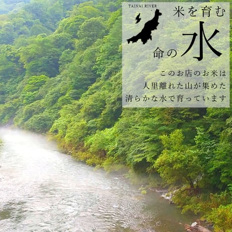 令和7年新潟県産こしいぶき白米５ｋｇ