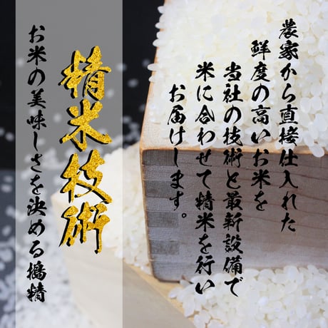 令和７年新潟県産こしいぶき白米２０ｋｇ（５ｋｇ×４個パック）
