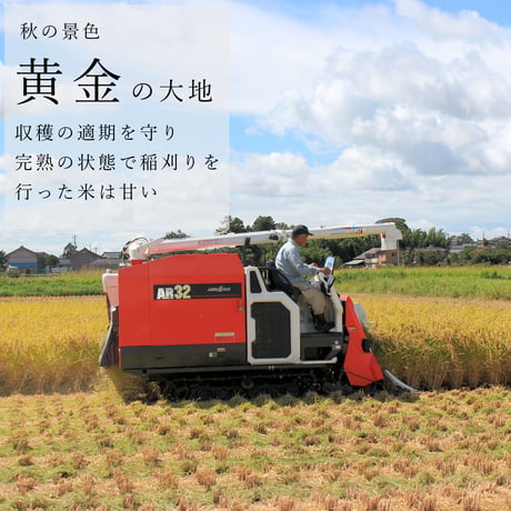 令和７年新潟県産こしいぶき白米１０ｋｇ（５kg×２個パック）
