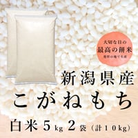 令和７年新潟県産こがねもち　もち米１０kg（5kg ×2個パック）