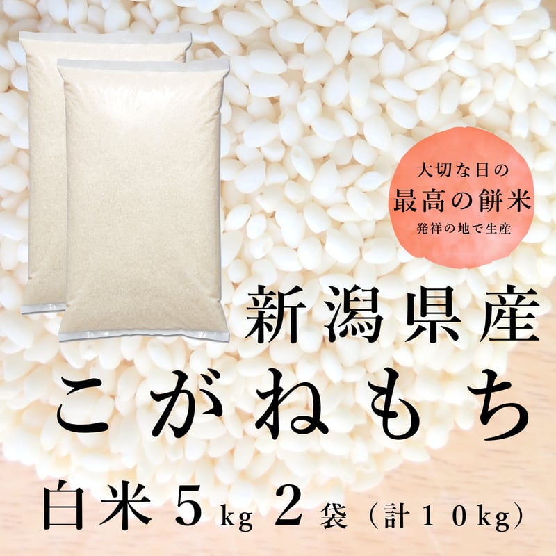 令和6年新潟県産こがねもち もち米10kg(5kg ×2個パック 令和6年新潟県産こがねもち もち米10kg(5kg ×2個パック