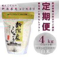 ▷令和6年　コシヒカリ10㌔◁ ⑨ 楽天市場】令和6年 茨城県産 コシヒカリ 10kg（5kg×2袋）/ 送料