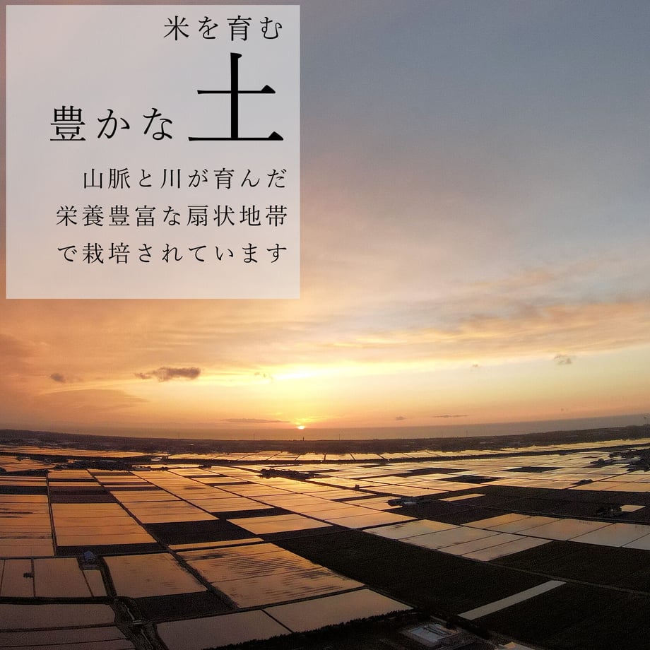 61a82356b91b752140ce62f0