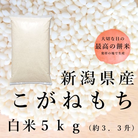 令和７年新潟県産こがねもち５㎏