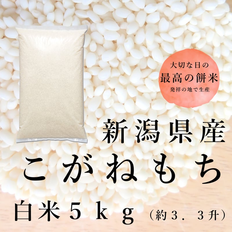 令和6年新潟県産こがねもち5㎏ | Sun Village Niigata 令和6年新潟県産こがねもち5㎏ | Sun Village Niigata