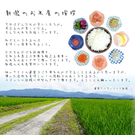 令和７年新潟県産コシヒカリ白米８kg