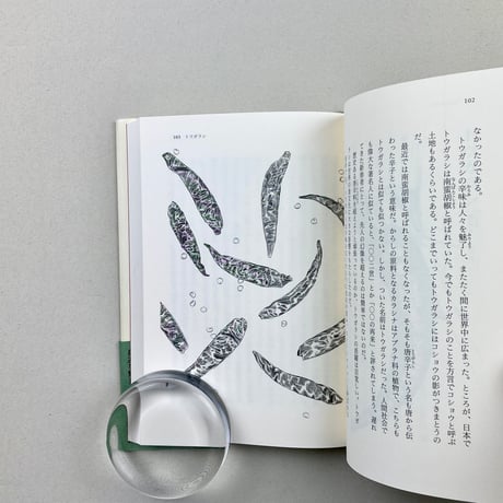 身近な野菜のなるほど観察記