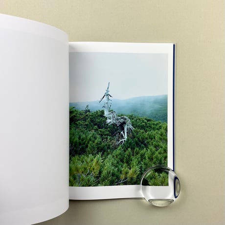 plateau (新刊)