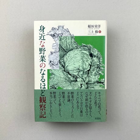 身近な野菜のなるほど観察記