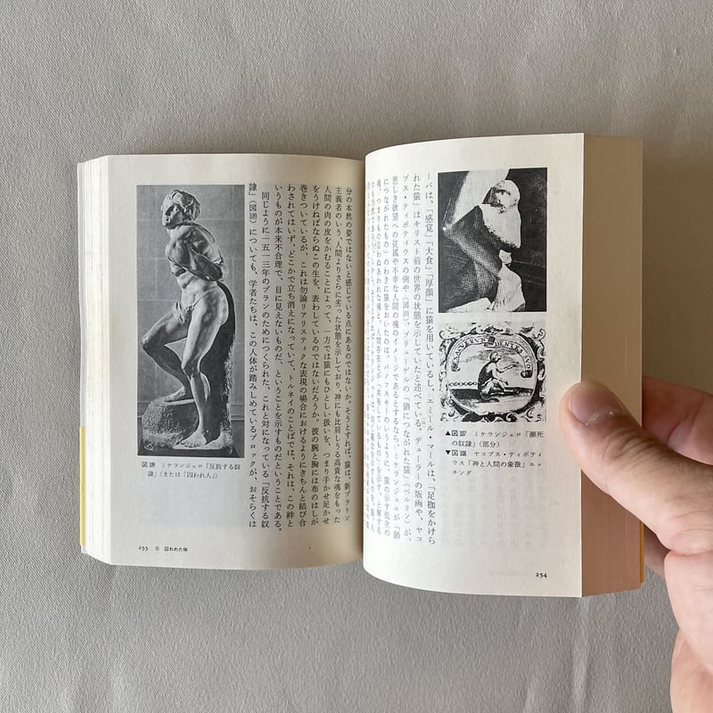 マニエリスム芸術論 | 八上書林