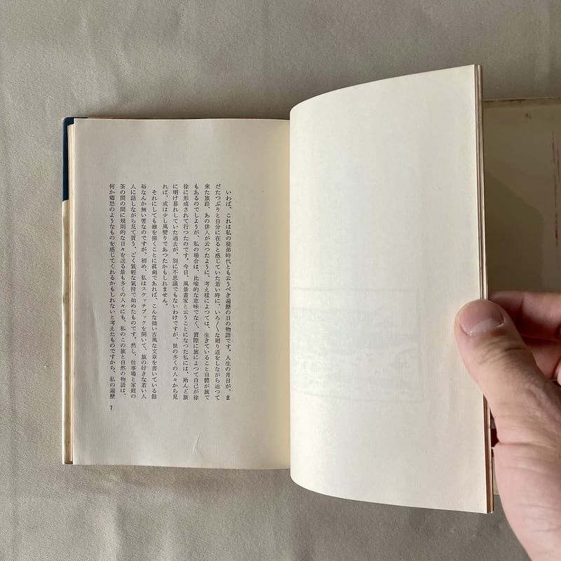 わが遍歴の山河 | 八上書林