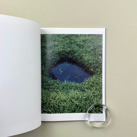 plateau (新刊)