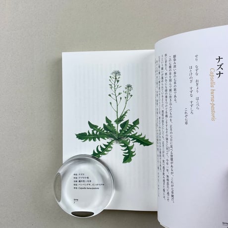 柳宗民の雑草ノオト