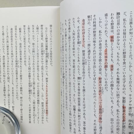 身近な野菜のなるほど観察記
