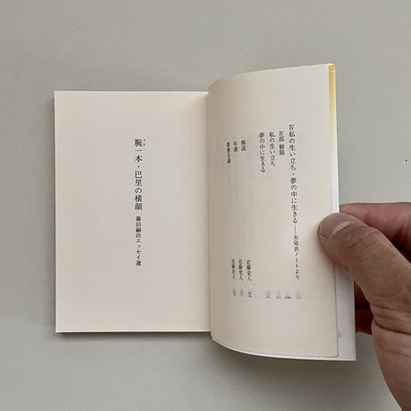 腕一本　巴里の横顔
