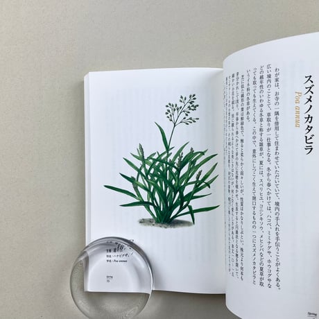 柳宗民の雑草ノオト
