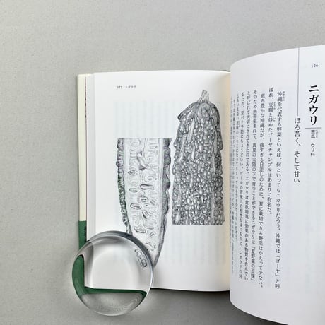 身近な野菜のなるほど観察記