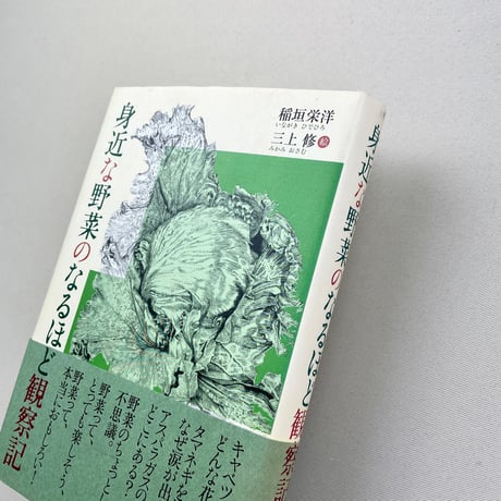 身近な野菜のなるほど観察記