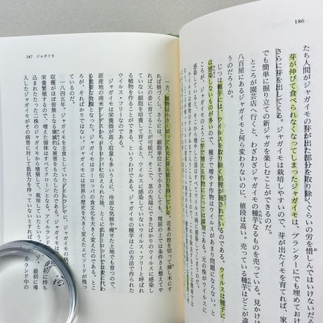身近な野菜のなるほど観察記