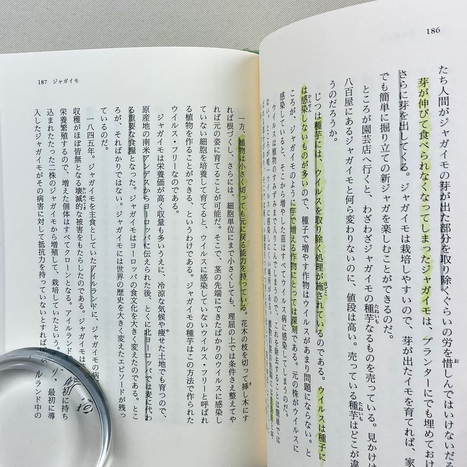 6739a4e286f8d47e85c7704b