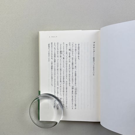 身近な野菜のなるほど観察記