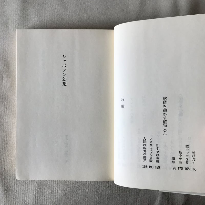 シャボテン幻想 | 八上書林