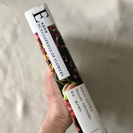 ENCYCLOPEDIA OF FLOWERS 植物図鑑