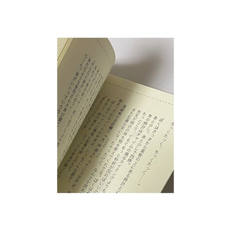 小説『ぼくとミャオンと不思議を売るお店①』