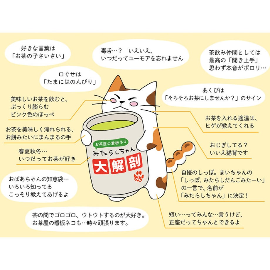 642bd0b0f0a6af002c9d7905