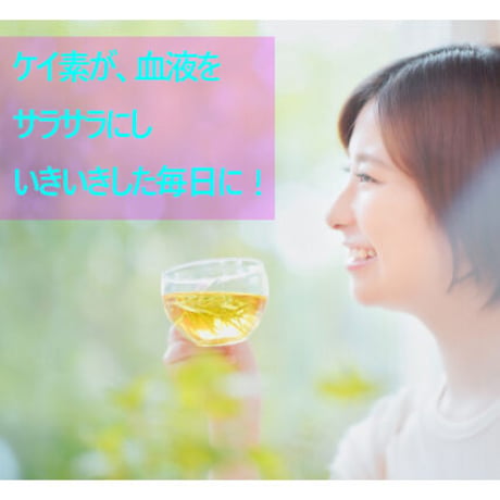 【全国送料600円】国産100％（自然自生・農薬不使用） スギナ茶 60ｇ ノンカフェイン