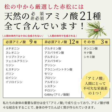 【100ｇサイズ再登場】松葉茶 「晴茶」（はるちゃ）100ｇ（農薬不使用・赤松）はるこころ