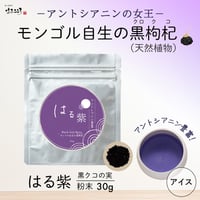 【メール便 送料200円】黒クコ・はる紫（黒枸杞）30g／モンゴル産／粉末