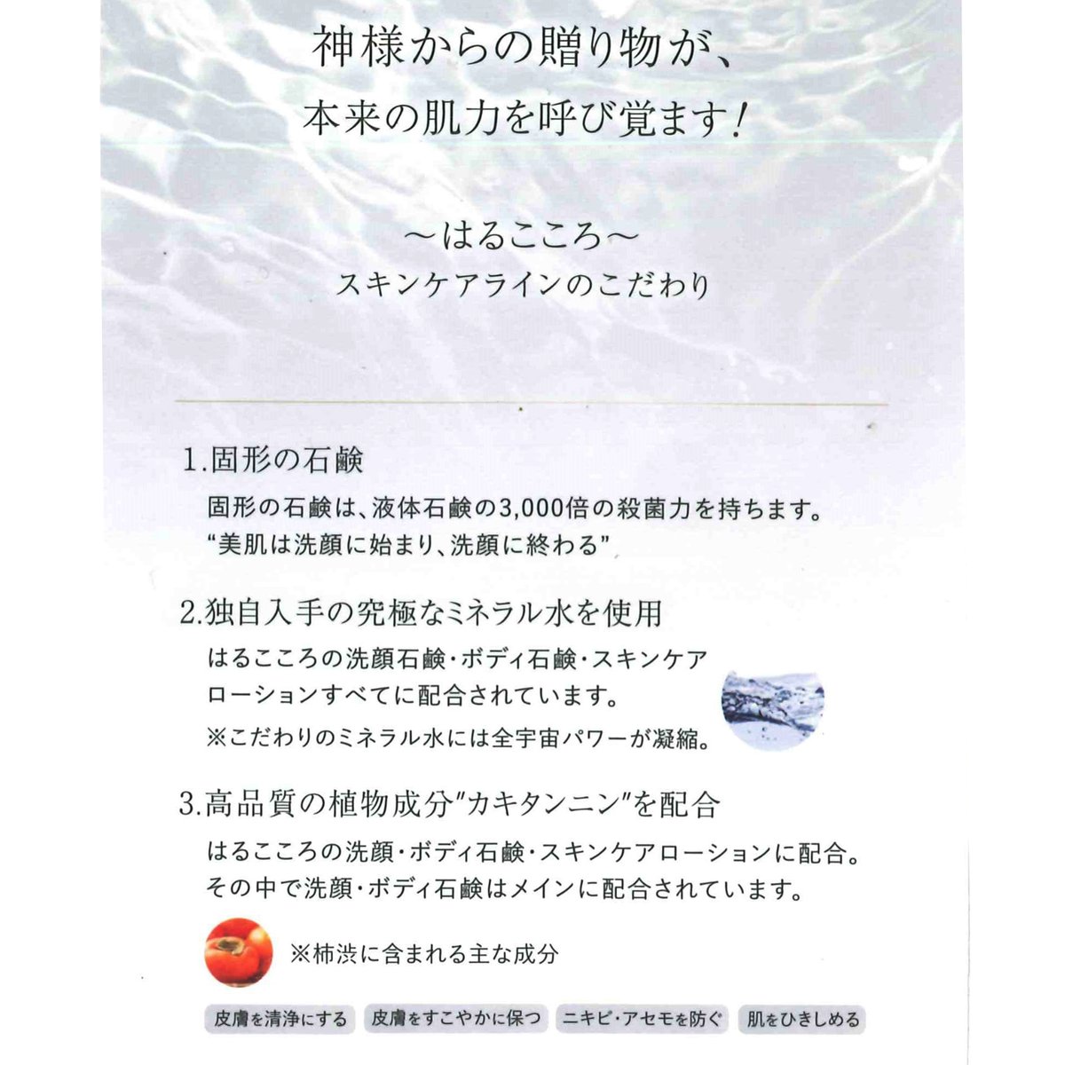 販売開始しました！送料無料！】お肌に負担をかけない、自然派石鹸