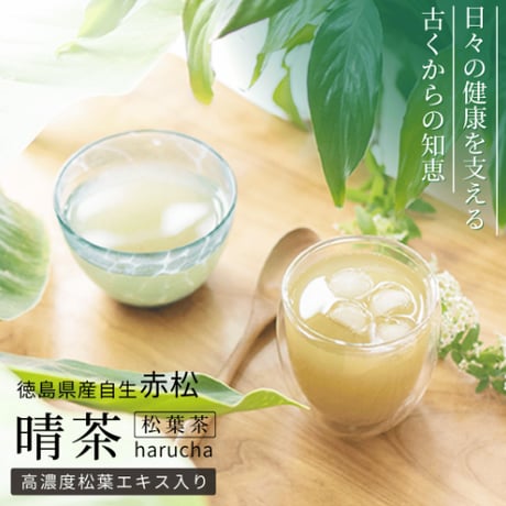 【100ｇサイズ再登場】松葉茶 「晴茶」（はるちゃ）100ｇ（農薬不使用・赤松）はるこころ