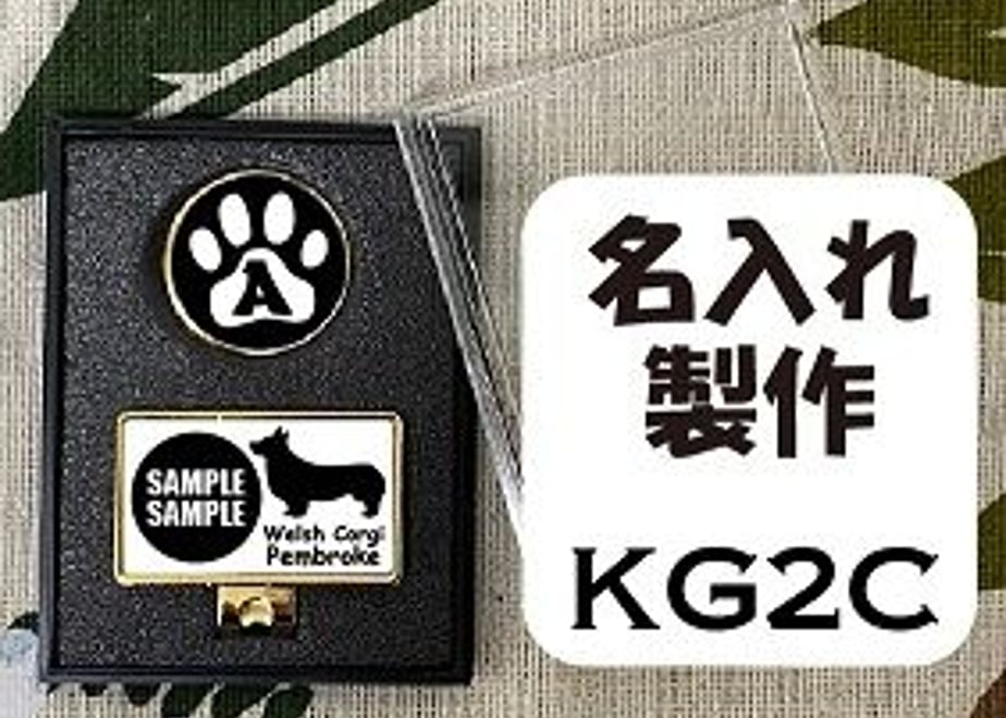 61319183c120962eec6738b5