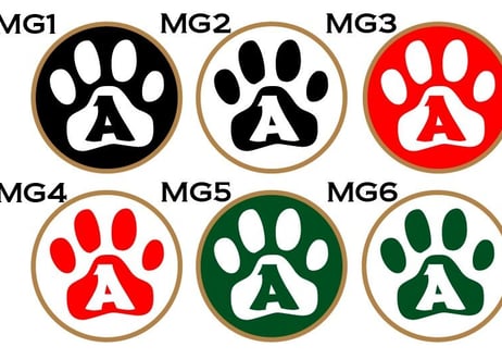 ゴルフマーカー楕円型ゴールド　柴犬デザイン名入れ製作