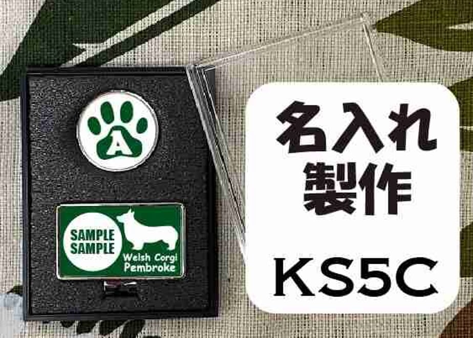 6131920a23055727fb073d3e