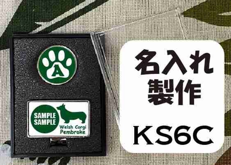 6131920a23055727fb073d3e