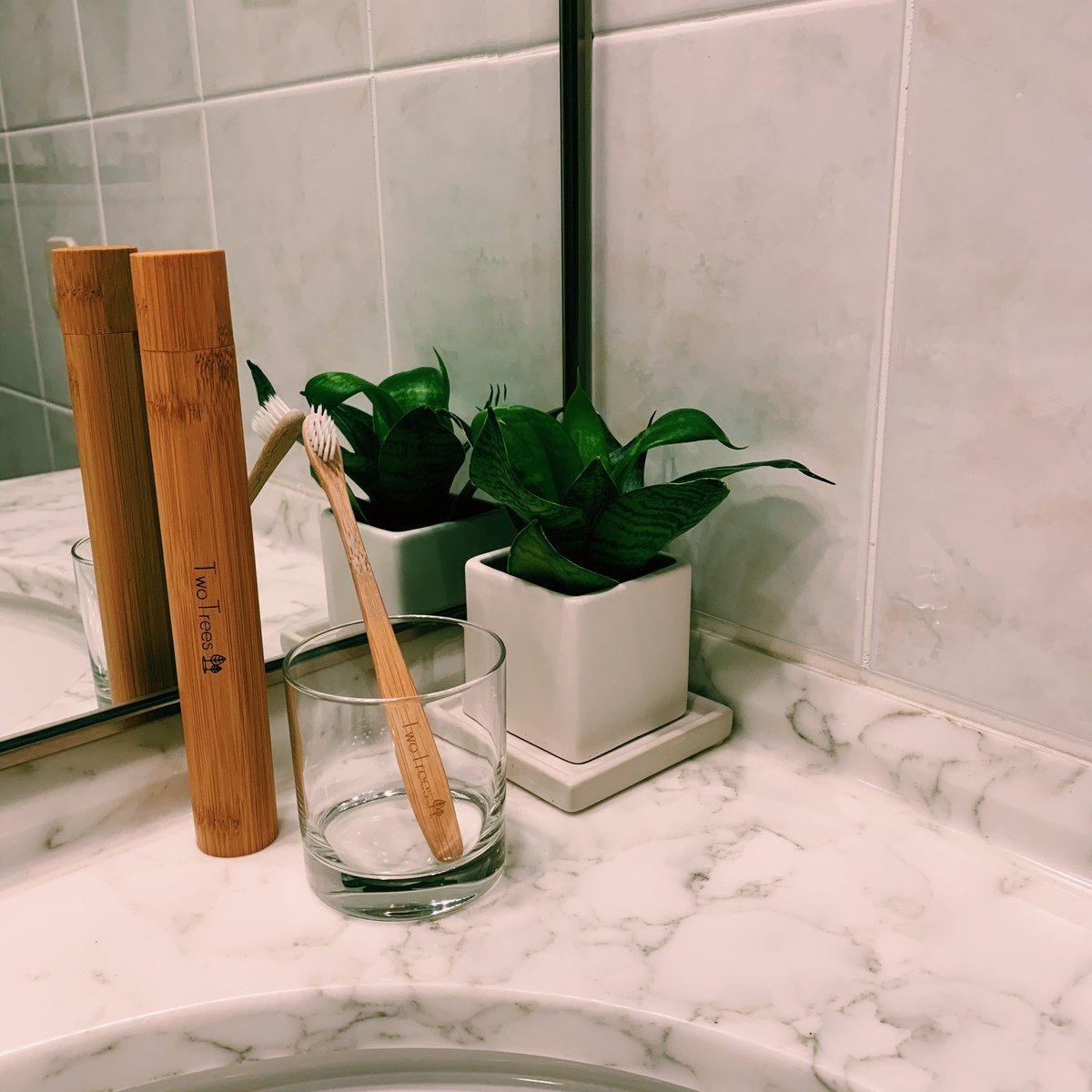 ORGANIC BAMBOO TOOTHBRUSH オーガニック 竹ハブラシ | TwoTrees