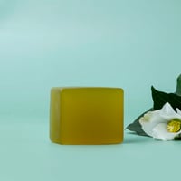 ZINC or SWIM】SUNDAZE ナチュラル日焼け止め | TwoTrees