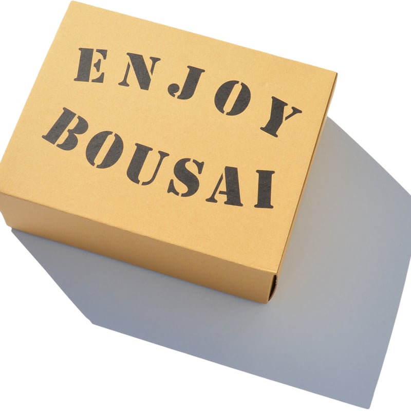 進化版☆単品】1番人気BASICボックス | 創業1748年 さくらんぼ県の防災