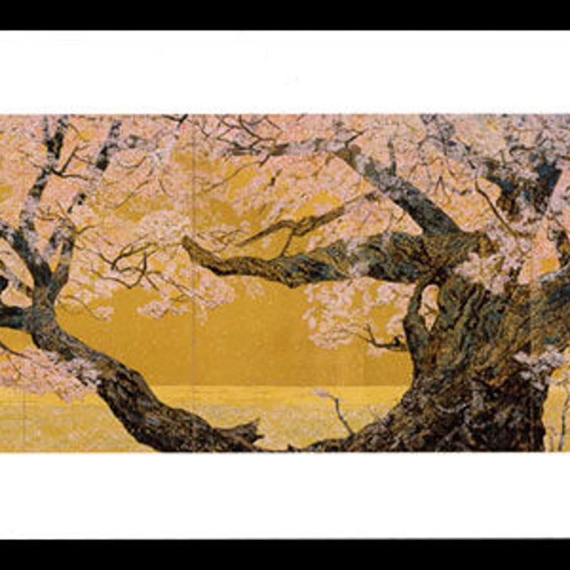 絵はがき：桜花浄苑雙図 (左雙) | 後藤純男美術館