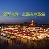 STAR LEAVES