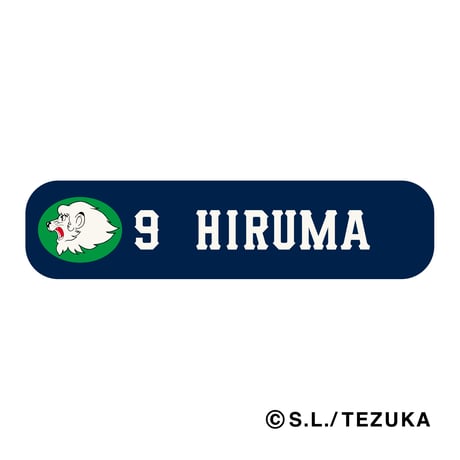 Baseball Player’s Grip　埼玉西武ライオンズ　＃00～＃30