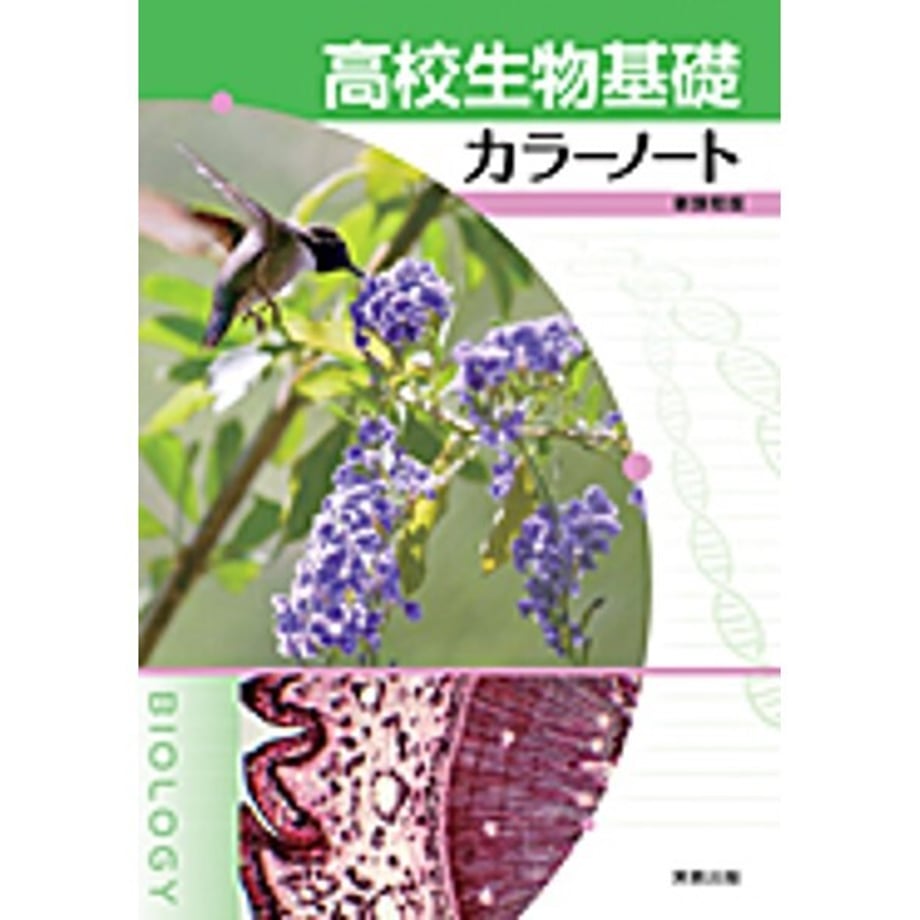 6408867e057a6800013db0ad