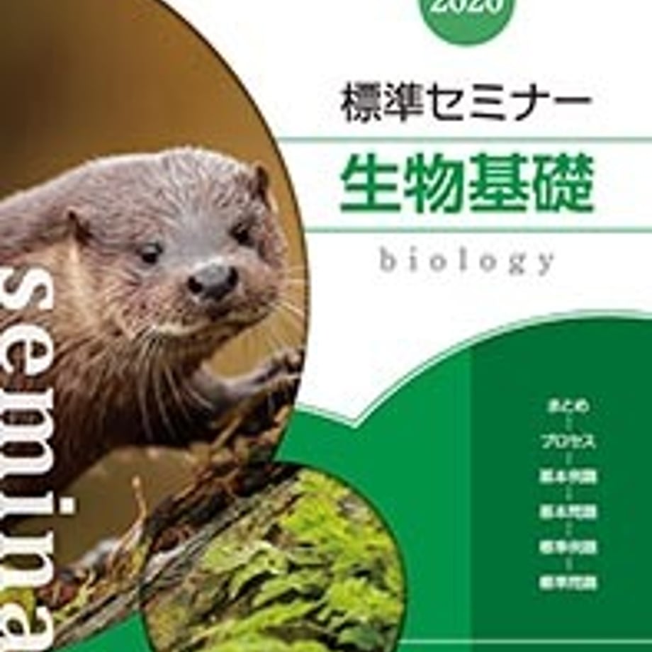 5e5120196c023532e948c23e