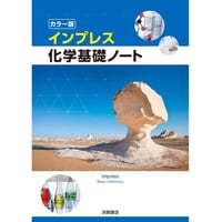 啓隆社 すらすら読める 速読古典 Ⅱ 新品 問題集本体のみ 別冊解答なし