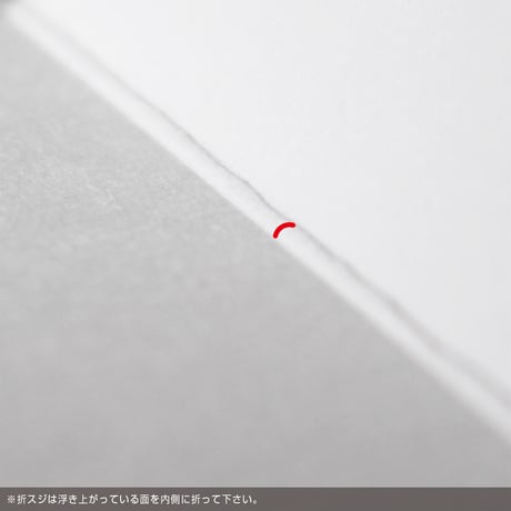 3WAY台紙【30枚】(タテ型・ヨコ型)