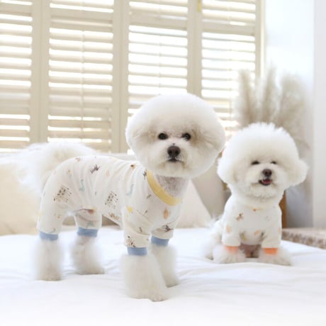 【ITSDOG】オーガニックどうぶつオールインワン　ブルー