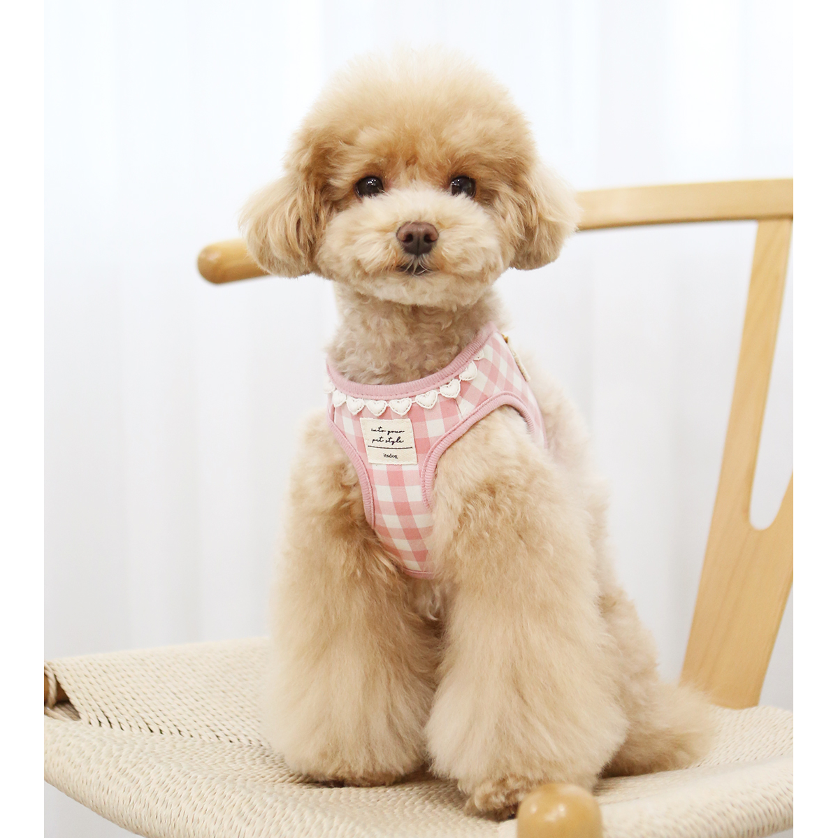 ITSDOG】ハートチェックハーネス ピンク | Pick me up! ITSDOG】ハートチェックハーネス ピンク | Pick me up!
